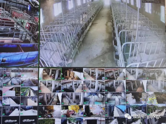 金控平?jīng)鰮?dān)保助力小微解困促發(fā)展