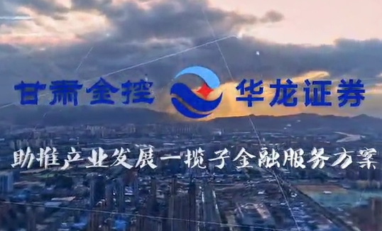 甘肅金控集團助推產(chǎn)業(yè)發(fā)展一攬子金融服務(wù)方案匯報片