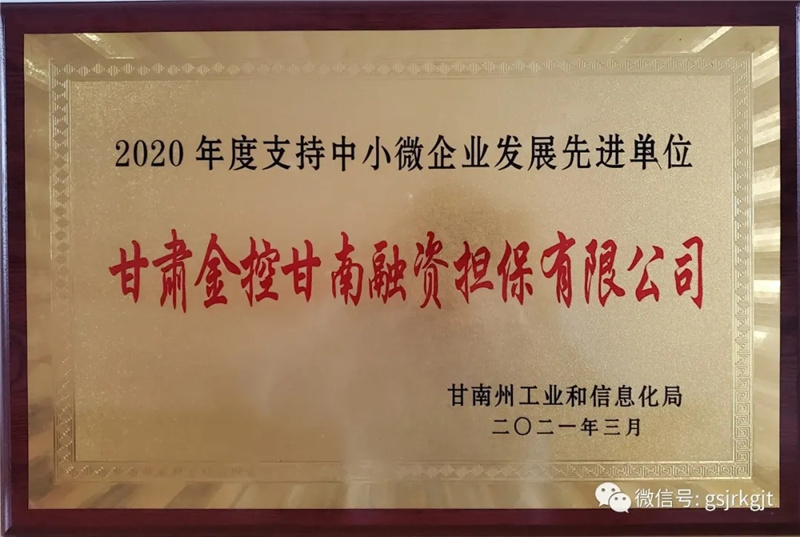 金控甘南擔(dān)保榮獲2020年度支持中小微企業(yè)發(fā)展先進(jìn)單位稱(chēng)號(hào)